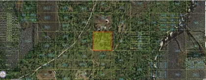 ST CLOUD FL Property
