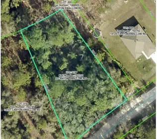 WEEKI WACHEE FL Property