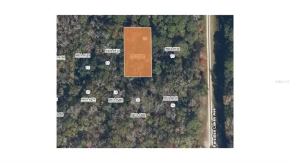 GEORGETOWN FL Property