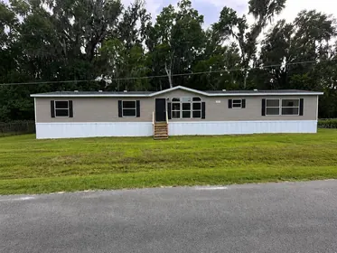 LAKE PANASOFFKEE FL Home