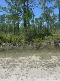 INDIAN LAKE ESTATES FL Property