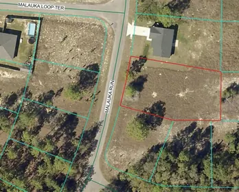 OCKLAWAHA FL Property