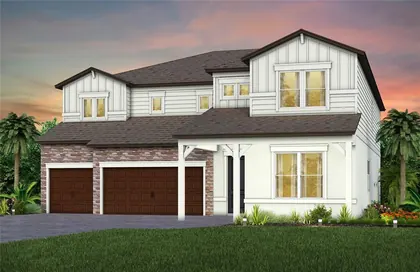 WESLEY CHAPEL FL Home