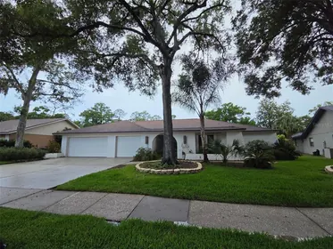 PALM HARBOR FL Home