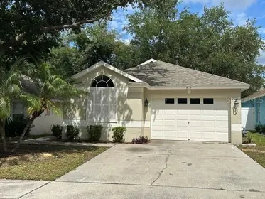 VALRICO FL Home