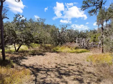 RIVERVIEW FL Property