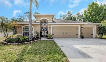 LUTZ FL Home