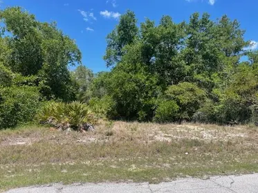 POINCIANA FL Property