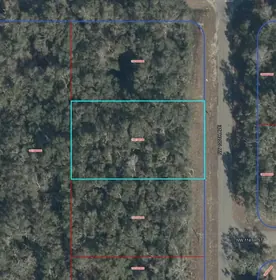 CHIEFLAND FL Property