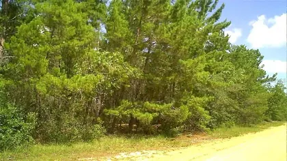 INTERLACHEN FL Property