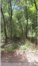 DUNNELLON FL Property