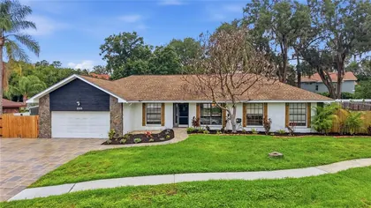 BRANDON FL Home