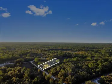 WEBSTER FL Property