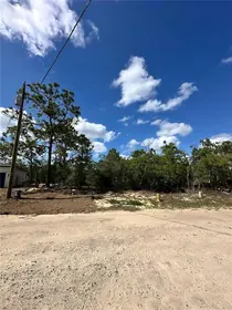 DUNNELLON FL Property