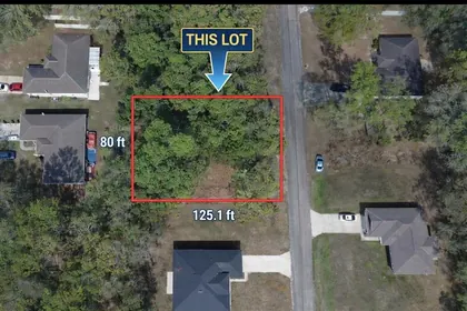 DUNNELLON FL Property