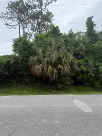 PALM COAST FL Property