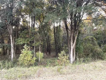 WILLISTON FL Property