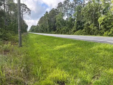 SEVILLE FL Property