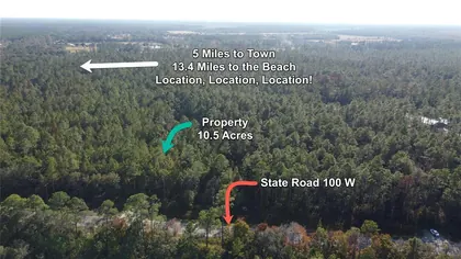 BUNNELL FL Property