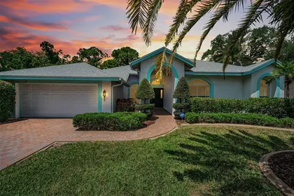 HOLIDAY FL Home