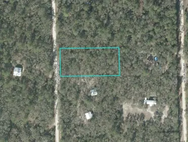 BRANFORD FL Property