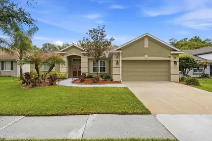 VALRICO FL Home