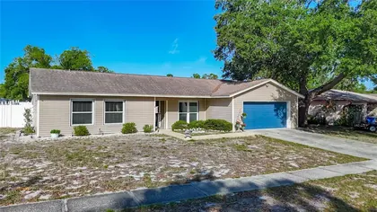 VALRICO FL Home