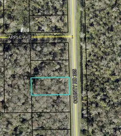 BUNNELL FL Property