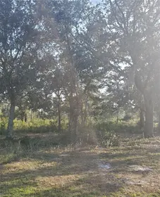 INDIAN LAKE ESTATES FL Property