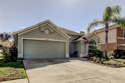 TAMPA FL Home