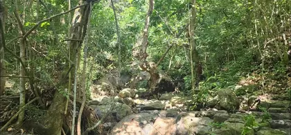 RINCON PR Property