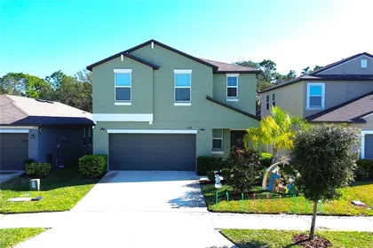 LUTZ FL Home