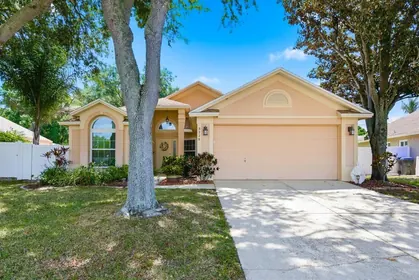 PALM HARBOR FL Home