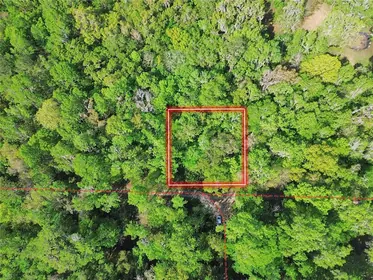 BELLEVIEW FL Property