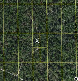 LAKE WALES FL Property