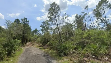 DELAND FL Property