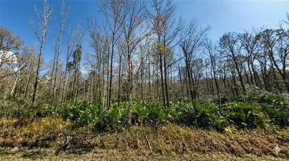 HASTINGS FL Property