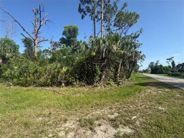 PORT CHARLOTTE FL Property