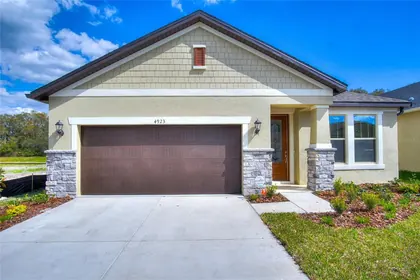 WESLEY CHAPEL FL Home