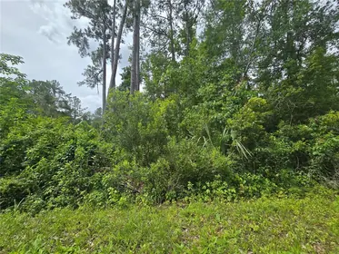 OCKLAWAHA FL Property