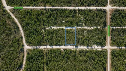 SEBRING FL Property