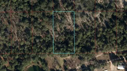 BRONSON FL Property