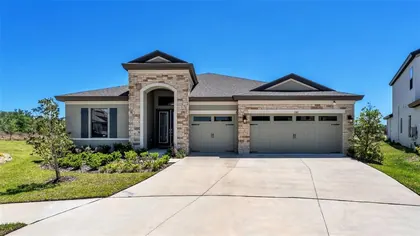 LITHIA FL Home