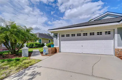 TAMPA FL Home
