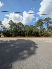 CITRUS SPRINGS FL Property