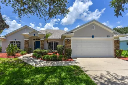 NEW SMYRNA BEACH FL Home