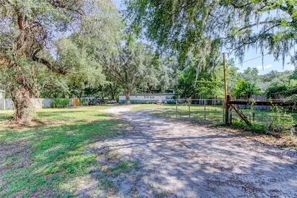 LAND O LAKES FL Home