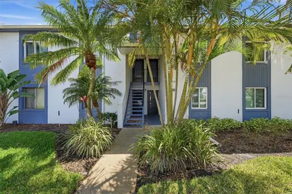 OLDSMAR FL Home