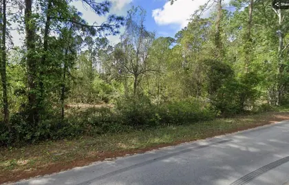 SATSUMA FL Property