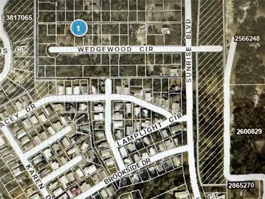 MOUNT DORA FL Property